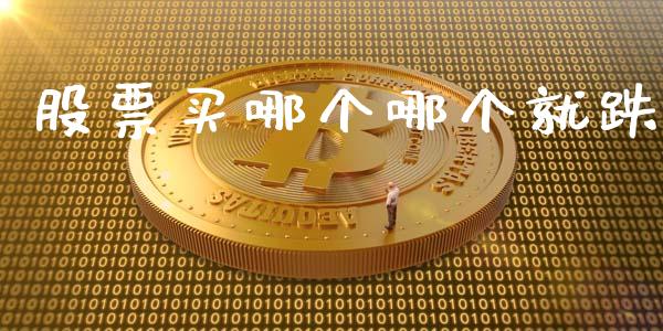 股票买哪个哪个就跌_https://wap.lcpcjs.com_美股行情_第1张