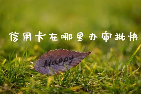 信用卡在哪里办审批快_https://wap.lcpcjs.com_美股行情_第1张