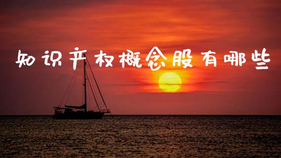 知识产权概念股有哪些_https://wap.lcpcjs.com_全球经济_第1张