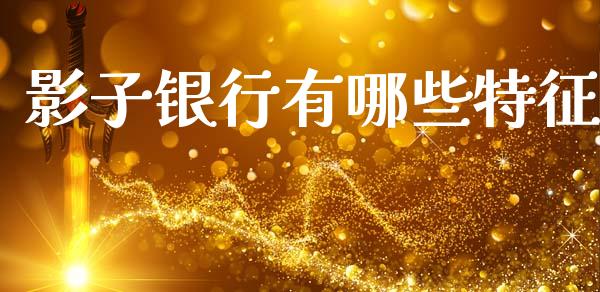 影子银行有哪些特征_https://wap.lcpcjs.com_全球经济_第1张
