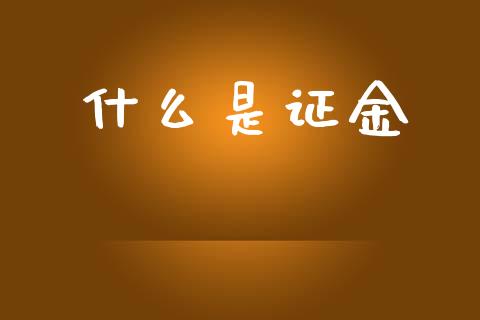 什么是证金_https://wap.lcpcjs.com_全球经济_第1张