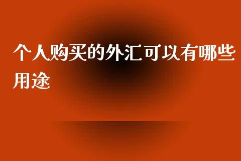 个人购买的外汇可以有哪些用途_https://wap.lcpcjs.com_股港行情_第1张