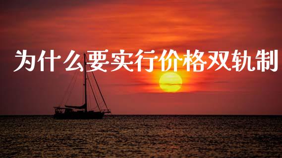 为什么要实行价格双轨制_https://wap.lcpcjs.com_外汇市场_第1张