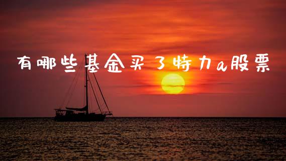 有哪些基金买了特力a股票_https://wap.lcpcjs.com_股港行情_第1张