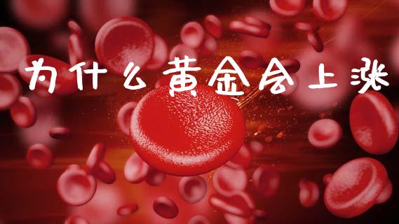 为什么黄金会上涨_https://wap.lcpcjs.com_全球经济_第1张