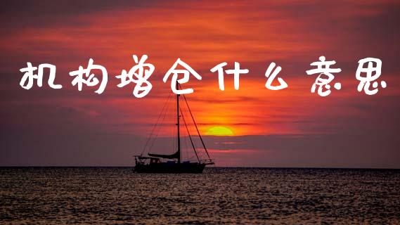 机构增仓什么意思_https://wap.lcpcjs.com_美股行情_第1张