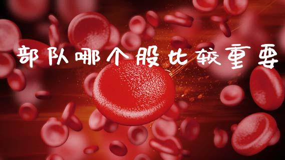部队哪个股比较重要_https://wap.lcpcjs.com_美股行情_第1张