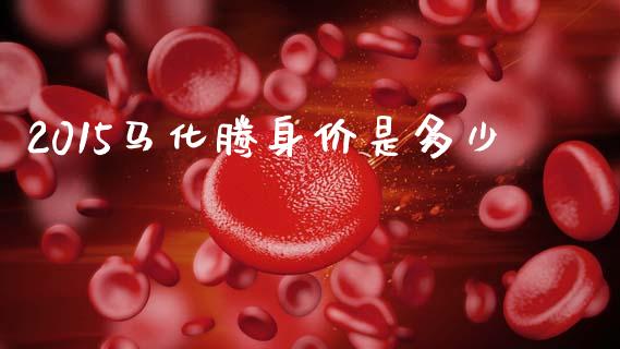 2015马化腾身价是多少_https://wap.lcpcjs.com_外汇市场_第1张