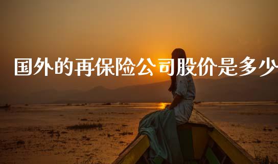 国外的再保险公司股价是多少_https://wap.lcpcjs.com_全球经济_第1张