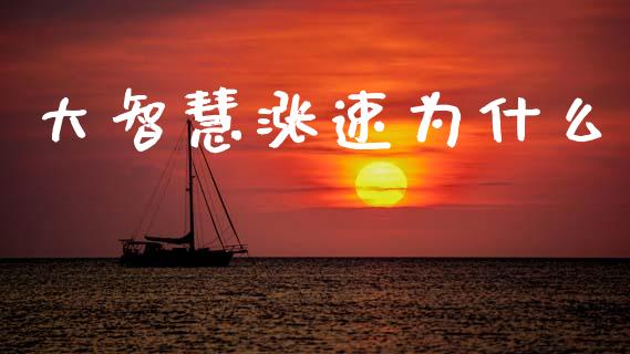 大智慧涨速为什么_https://wap.lcpcjs.com_外汇市场_第1张