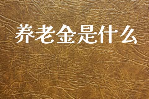 养老金是什么_https://wap.lcpcjs.com_美股行情_第1张