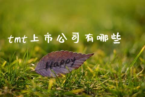 tmt上市公司有哪些_https://wap.lcpcjs.com_美股行情_第1张