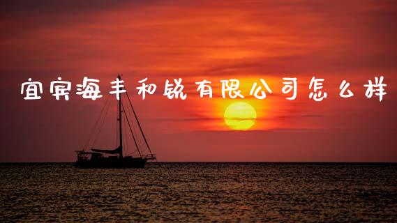 宜宾海丰和锐有限公司怎么样_https://wap.lcpcjs.com_外汇市场_第1张