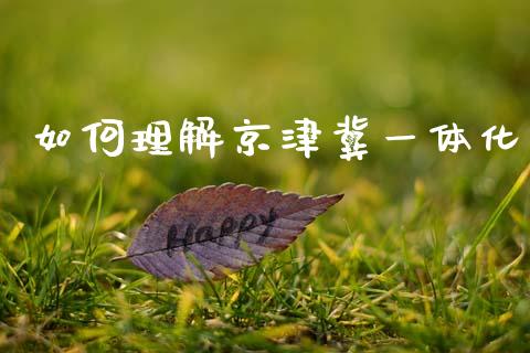 如何理解京津冀一体化_https://wap.lcpcjs.com_全球经济_第1张