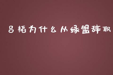 吕韬为什么从绿盟辞职_https://wap.lcpcjs.com_美股行情_第1张