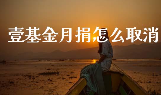 壹基金月捐怎么取消_https://wap.lcpcjs.com_股港行情_第1张