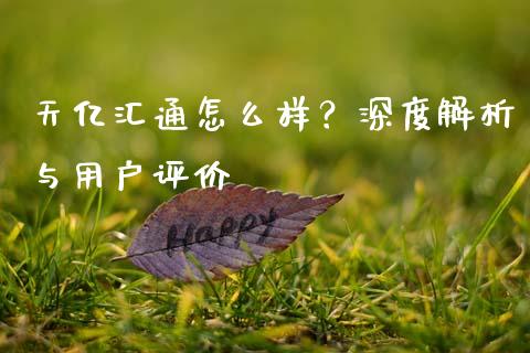 天亿汇通怎么样？深度解析与用户评价_https://wap.lcpcjs.com_全球经济_第1张