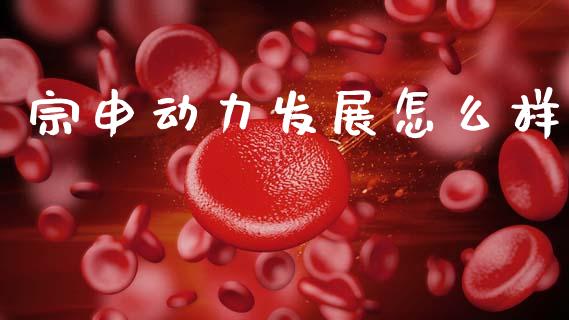 宗申动力发展怎么样_https://wap.lcpcjs.com_美股行情_第1张