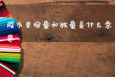 股市里缩量和放量是什么意思_https://wap.lcpcjs.com_美股行情_第1张