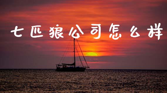 七匹狼公司怎么样_https://wap.lcpcjs.com_美股行情_第1张