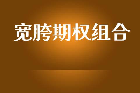 宽胯期权组合_https://wap.lcpcjs.com_外汇市场_第1张
