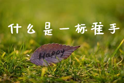 什么是一标准手_https://wap.lcpcjs.com_股港行情_第1张
