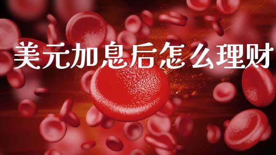 美元加息后怎么理财_https://wap.lcpcjs.com_外汇市场_第1张