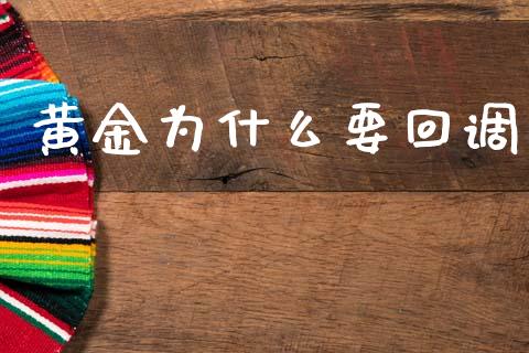 黄金为什么要回调_https://wap.lcpcjs.com_外汇市场_第1张