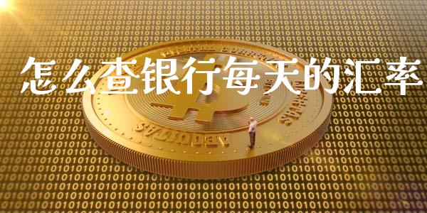 怎么查银行每天的汇率_https://wap.lcpcjs.com_外汇市场_第1张