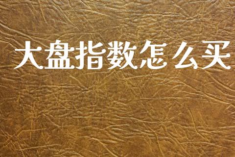 大盘指数怎么买_https://wap.lcpcjs.com_外汇市场_第1张