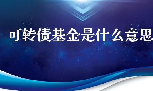 可转债基金是什么意思_https://wap.lcpcjs.com_外汇市场_第1张