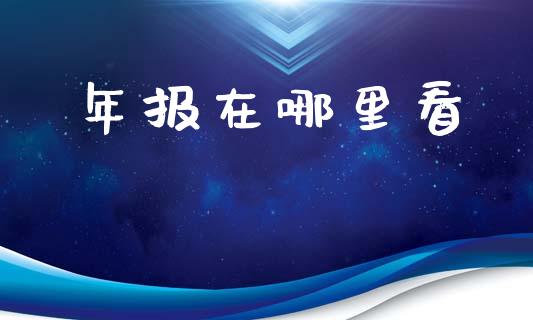 年报在哪里看_https://wap.lcpcjs.com_外汇市场_第1张