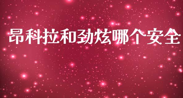 昂科拉和劲炫哪个安全_https://wap.lcpcjs.com_外汇市场_第1张