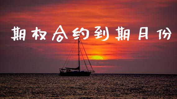 期权合约到期月份_https://wap.lcpcjs.com_外汇市场_第1张