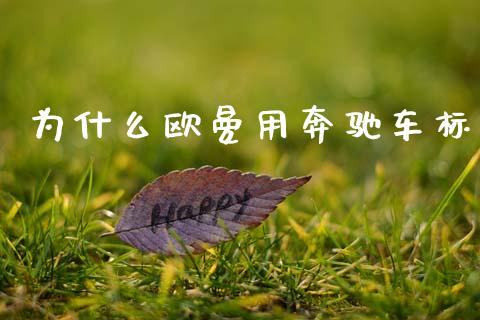 为什么欧曼用奔驰车标_https://wap.lcpcjs.com_外汇市场_第1张