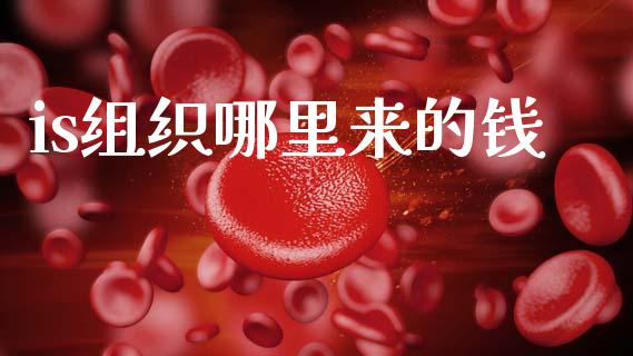 is组织哪里来的钱_https://wap.lcpcjs.com_全球经济_第1张