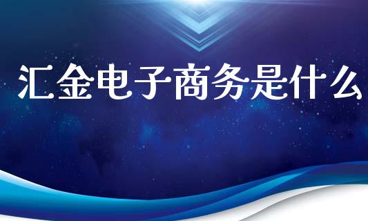 汇金电子商务是什么_https://wap.lcpcjs.com_外汇市场_第1张