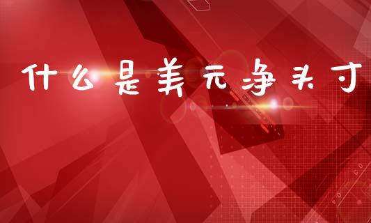 什么是美元净头寸_https://wap.lcpcjs.com_外汇市场_第1张