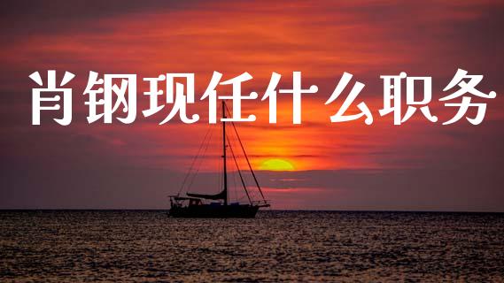 肖钢现任什么职务_https://wap.lcpcjs.com_美股行情_第1张
