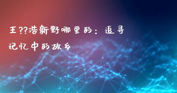 王??浩新野哪里的：追寻记忆中的故乡_https://wap.lcpcjs.com_美股行情_第1张