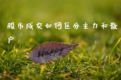 股市成交如何区分主力和散户_https://wap.lcpcjs.com_股港行情_第1张