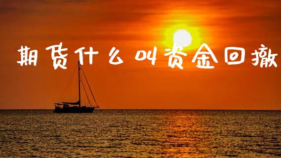 期货什么叫资金回撤_https://wap.lcpcjs.com_外汇市场_第1张