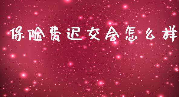 保险费迟交会怎么样_https://wap.lcpcjs.com_美股行情_第1张