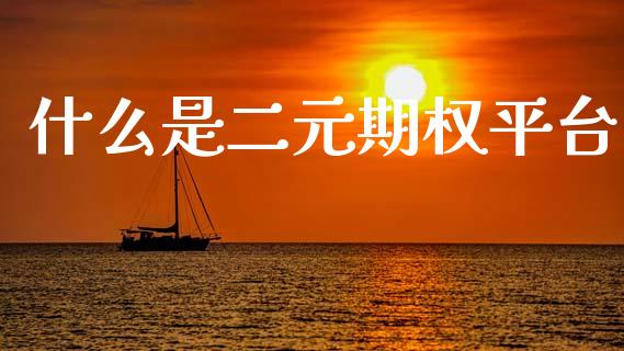什么是二元期权平台_https://wap.lcpcjs.com_全球经济_第1张