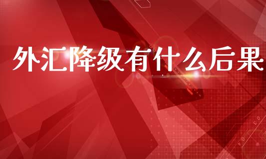 外汇降级有什么后果_https://wap.lcpcjs.com_美股行情_第1张