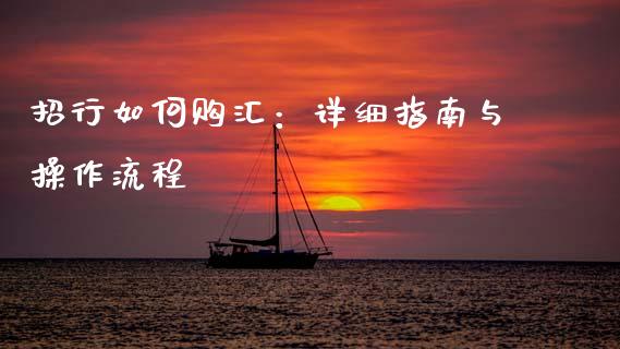 招行如何购汇：详细指南与操作流程_https://wap.lcpcjs.com_美股行情_第1张