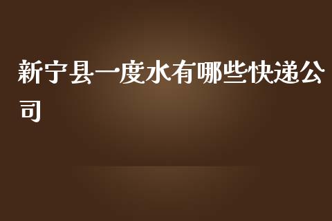 新宁县一度水有哪些快递公司_https://wap.lcpcjs.com_全球经济_第1张
