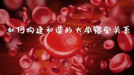 如何构建和谐的大学寝室关系_https://wap.lcpcjs.com_外汇市场_第1张