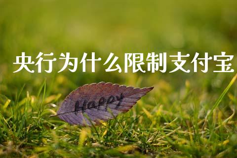 央行为什么限制支付宝_https://wap.lcpcjs.com_外汇市场_第1张