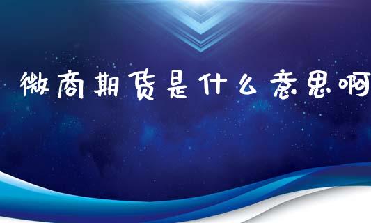 微商期货是什么意思啊_https://wap.lcpcjs.com_美股行情_第1张